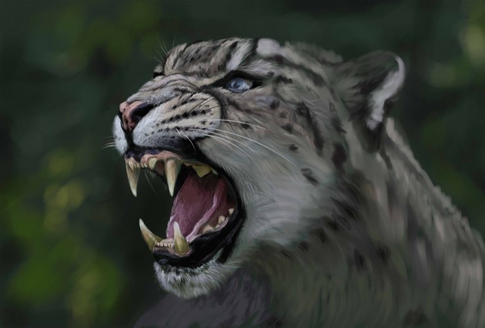 Painting of a Snow Leopard Roaring