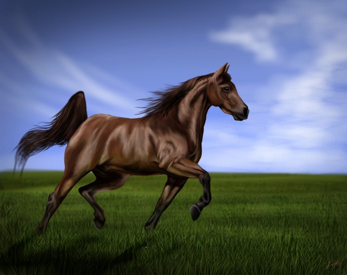 Brown horse running in a grassy field under a blue sky