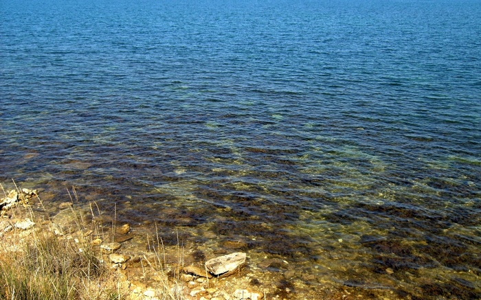 Clear blue water over a rocky shore with dry grass