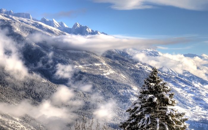 Snow-covered mountains with clouds and pine tree