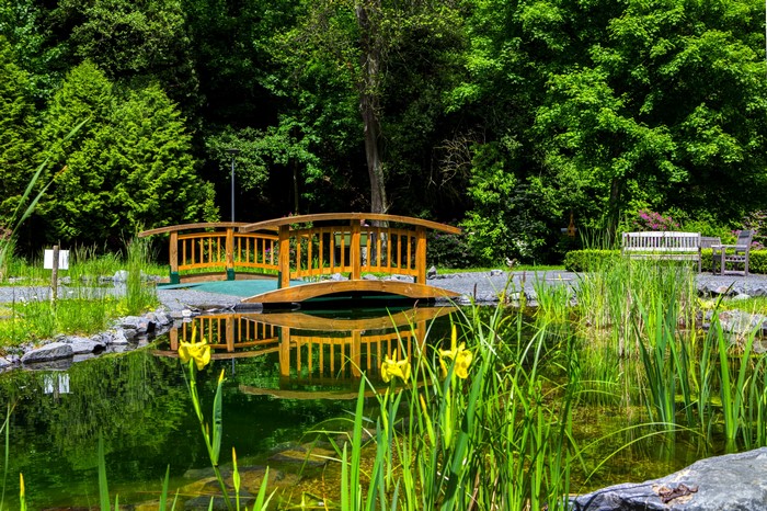 Wooden bridge over pond in Bad Bertrich, Germany