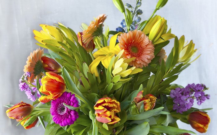 Colorful Bouquet of Flowers