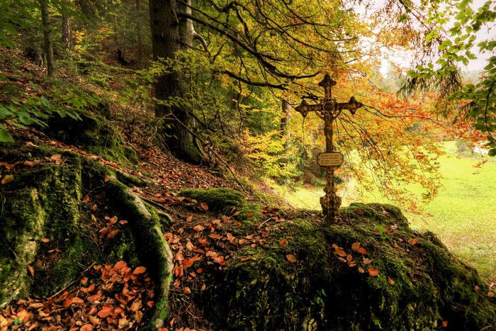 Cross in an autumn forest with moss and fallen leaves