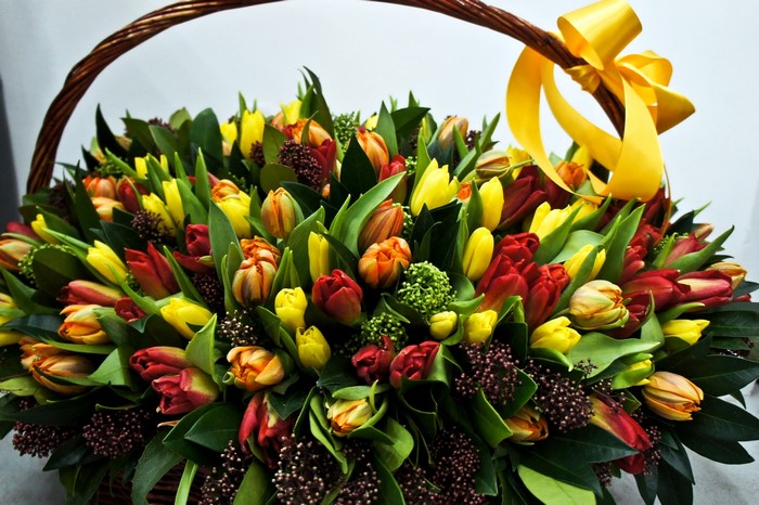 Colorful Tulips in a Wicker Basket with Yellow Ribbon