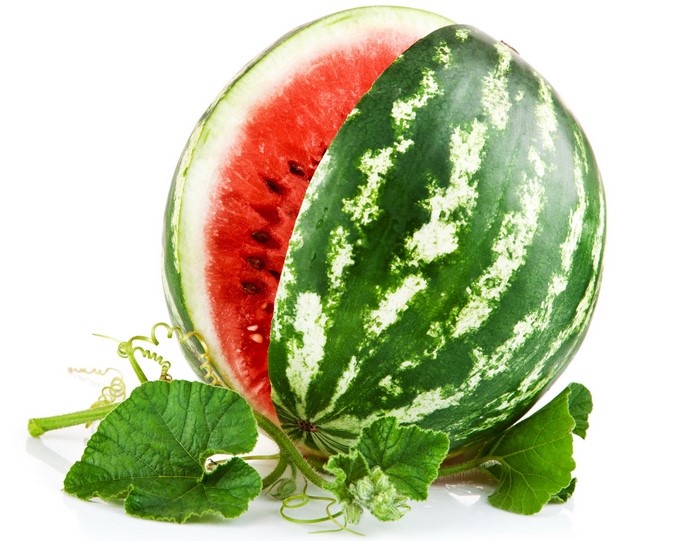 Watermelon slice with leaves and tendrils