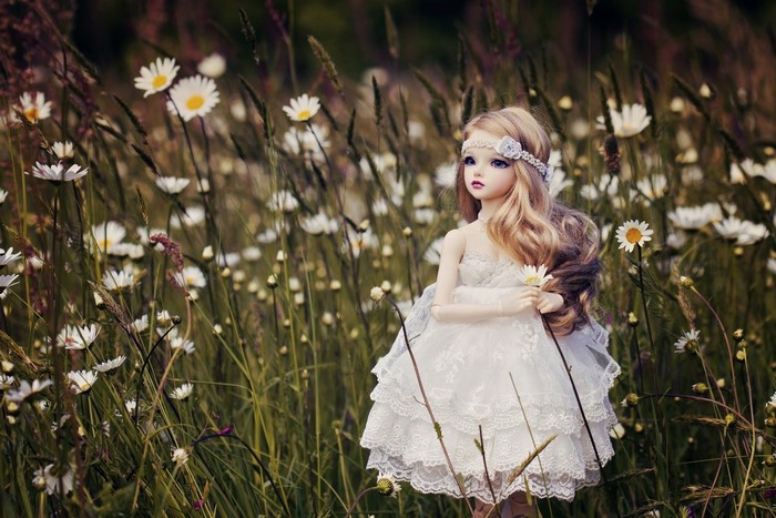 Doll in White Dress Among Camomile Flowers