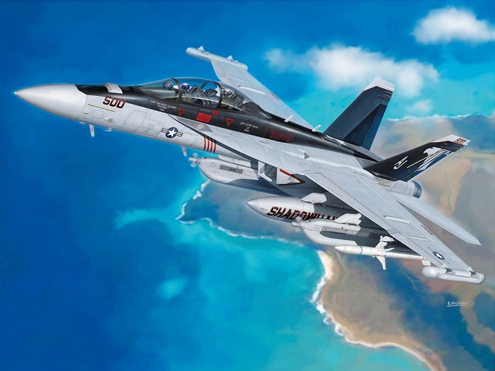EA-18 Growler "Shadowhawks" Fighter Jet in Flight
