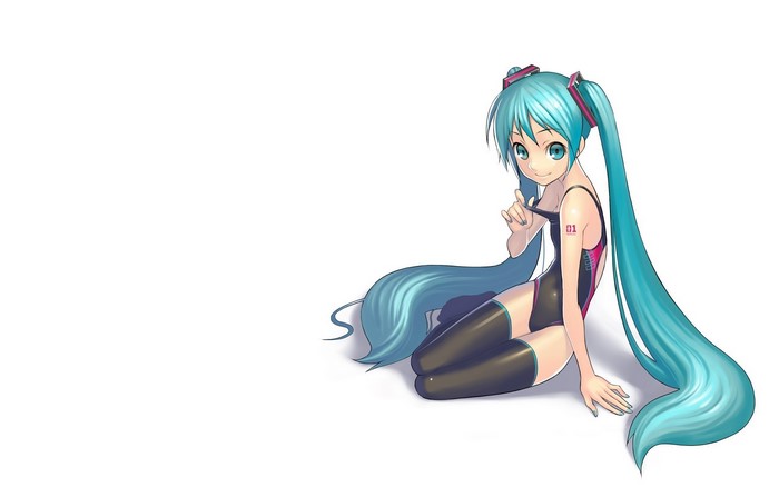 Hatsune Miku from Vocaloid