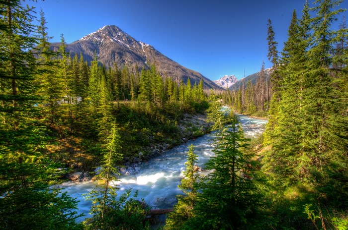 River flowing through a forest with mountains in the background