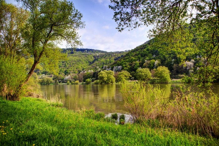 River flowing through a green forested valley in Nehren, Germany