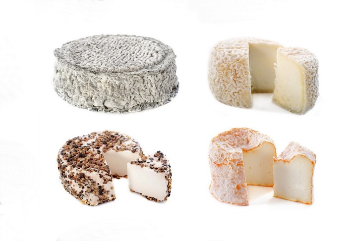 Four types of cheese on a white background