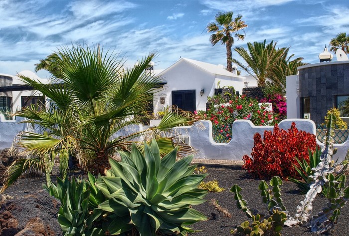 White house with palm trees and succulents in Charco del Palo, Canary Islands