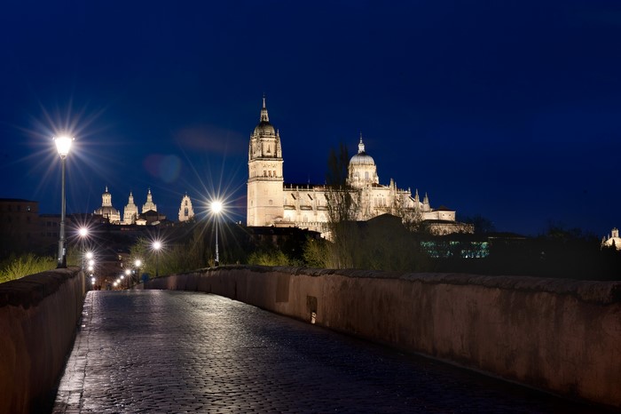 Salamanca Cathedral and Roman Bridge at Night