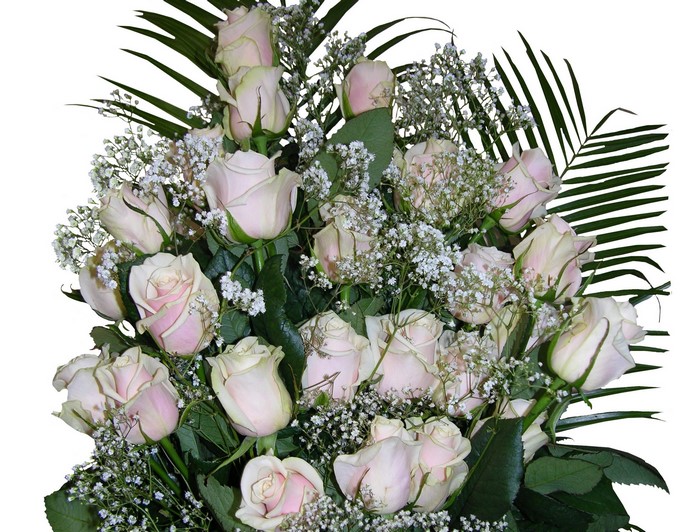 Bouquet of pale pink roses with baby's breath and ferns