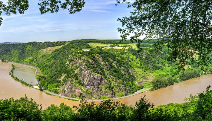 River bend with vineyards and forest in Oberwesel, Germany