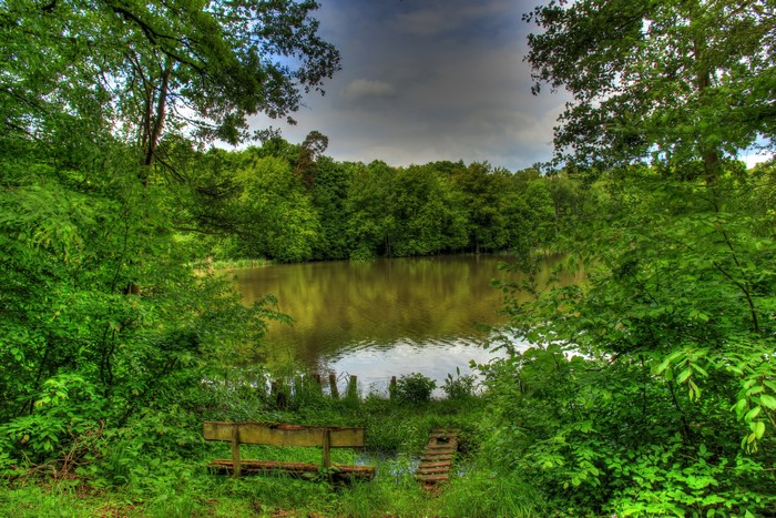 Bench by a lake in Hungen, Germany