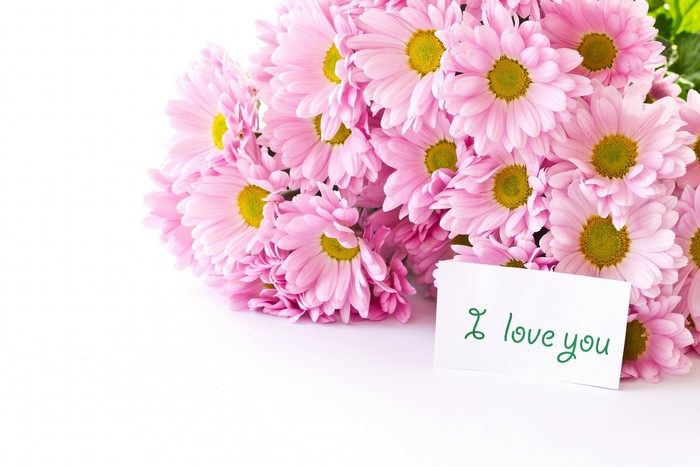 Pink camomiles with "I love you" card