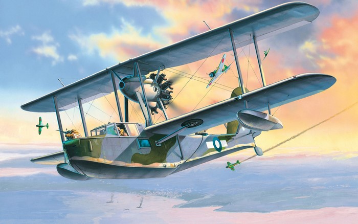 Supermarine Walrus Mk. I in aerial combat