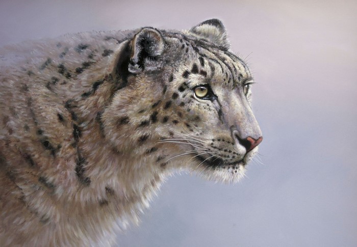 Painting of a Snow Leopard's Head