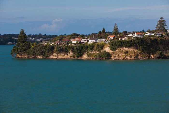 Houses on a cliff overlooking the ocean in Auckland, New Zealand