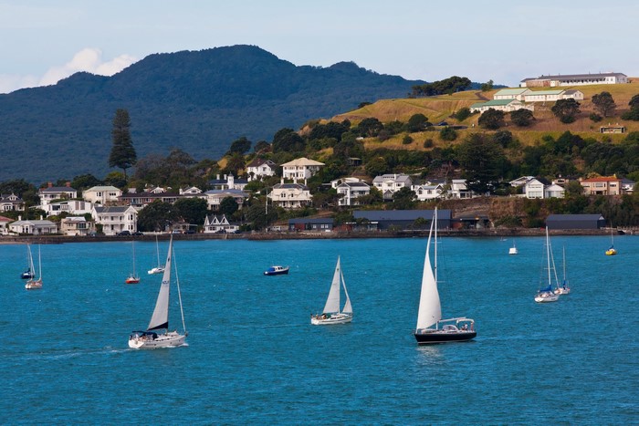 Sailboats on the water in Auckland, New Zealand