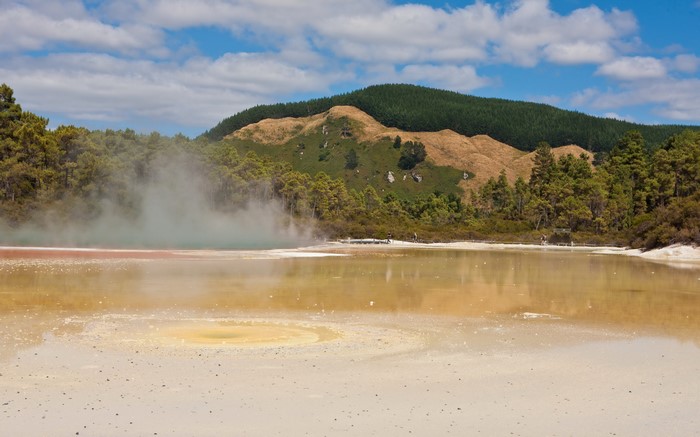 Geothermal Lake with Steam and Forested Hills in Rotorua, New Zealand