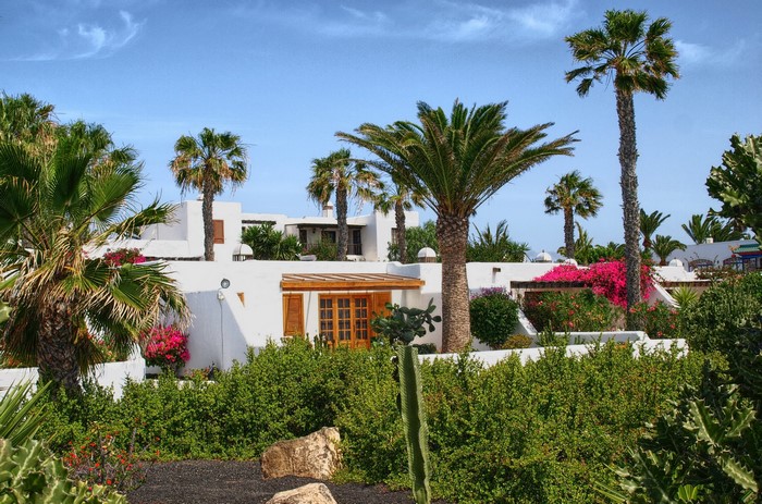 White buildings with palm trees in Playa Blanca, Spain