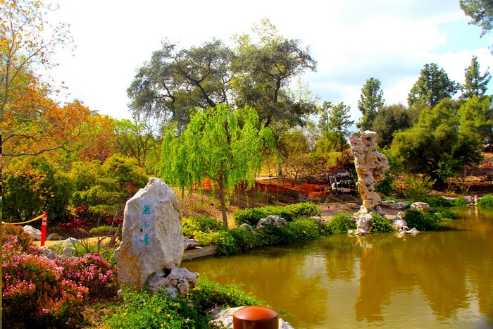Chinese Garden Pond with Rocks and Trees in San Marino, California