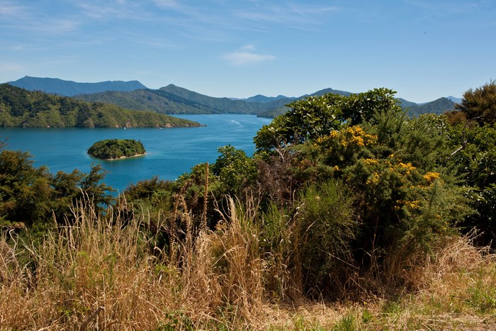 New Zealand Island Scenery