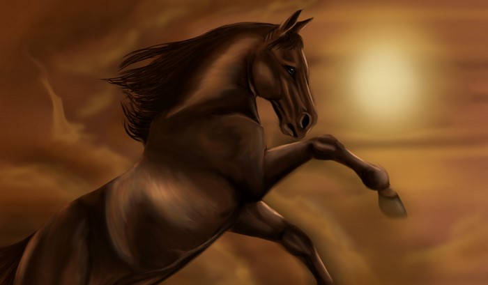 Dark horse rearing against a sunset