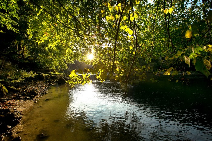 Sunlight through branches over a river