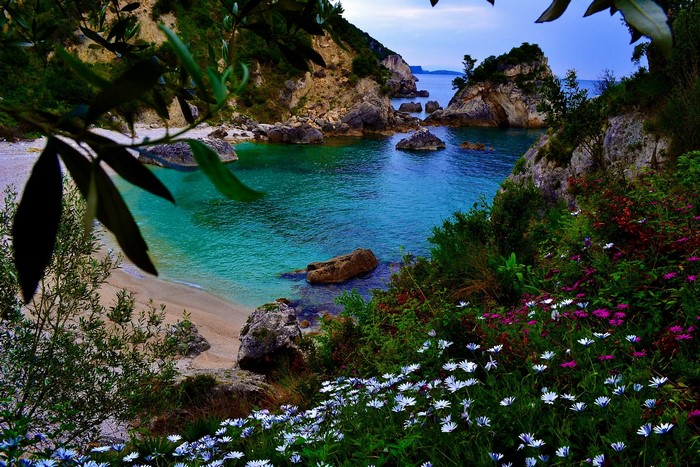 Beautiful Greek Coastline with Turquoise Water and Flowers