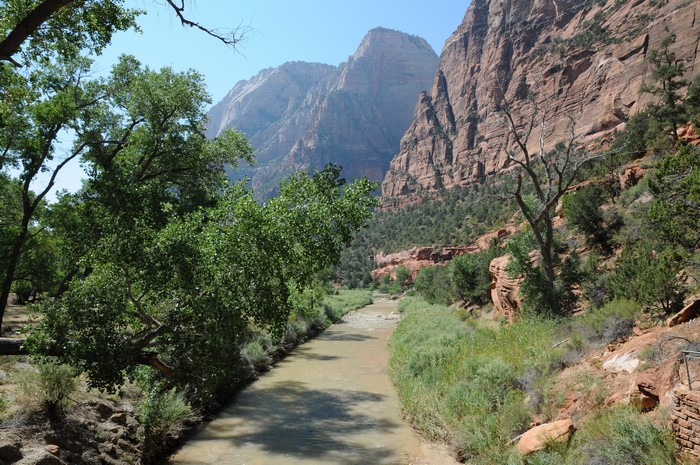 Zion National Park, Utah, USA