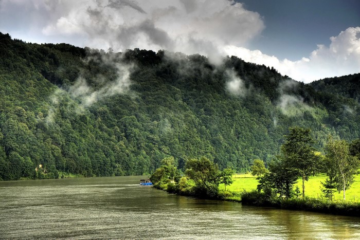 River and Misty Forest Mountain Landscape