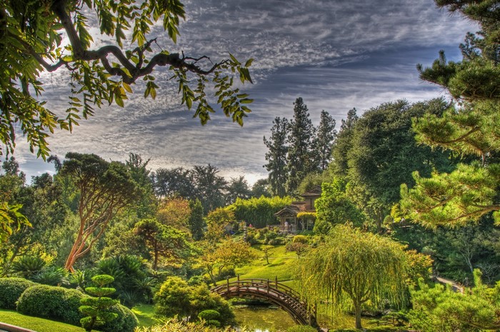 Japanese Garden with Bridge and Pagoda in San Marino, California