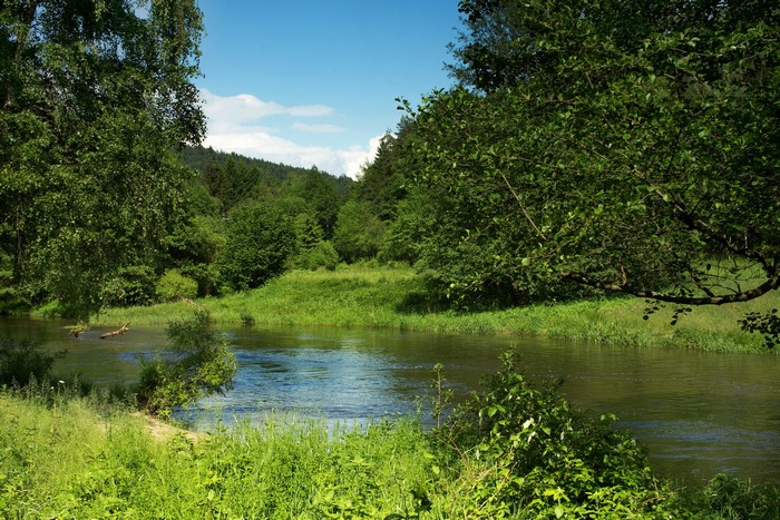 Schwarzach River in Bavaria, Germany