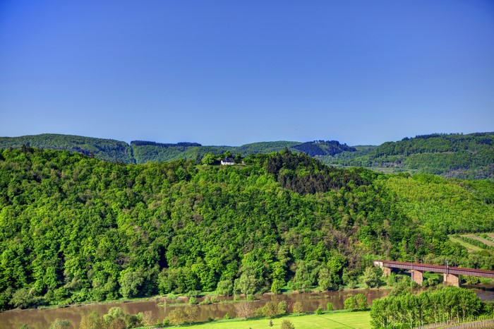 4K Scenery of Germany Forests near Ediger-Eller