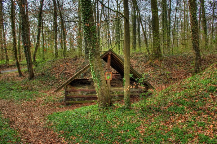 Forest with a small wooden structure and a picture