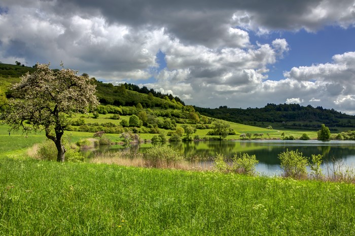 4K Scenery of Grass and Clouds in Ellscheid, Germany