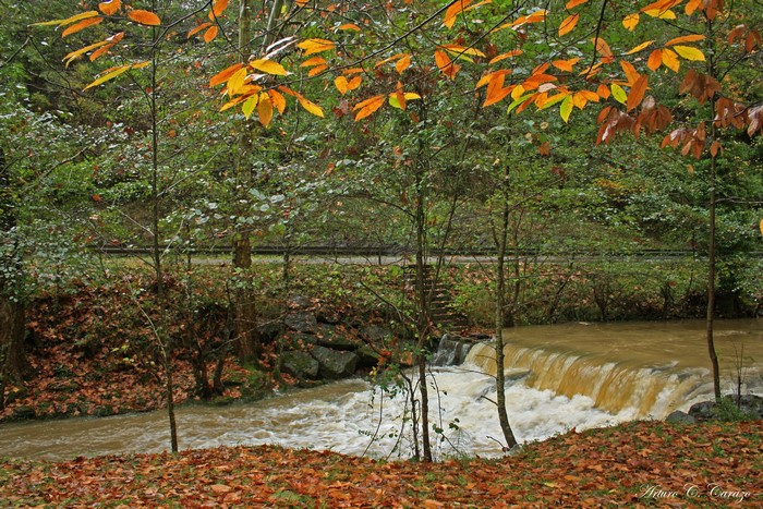 Autumn foliage by a river in Enkarterri, Spain