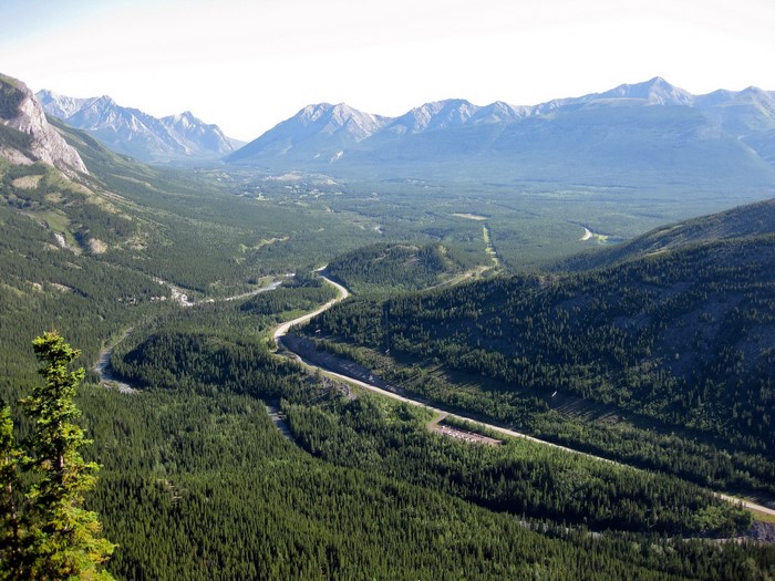 Valley with Mountains and Forest Road in Alberta, Canada