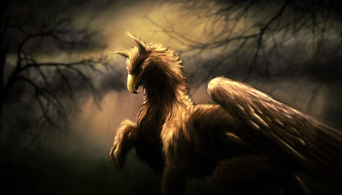 A golden gryphon in a dark, misty forest