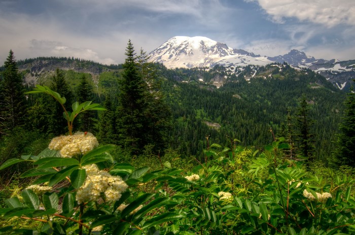 Mount Rainier National Park, Washington, USA