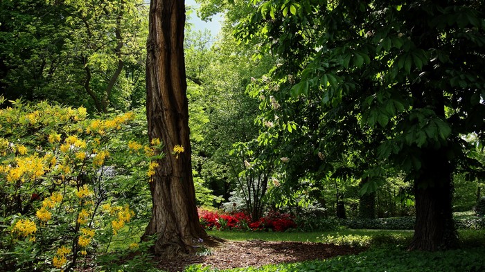 Park in Wroclaw, Poland during summer with blooming flowers