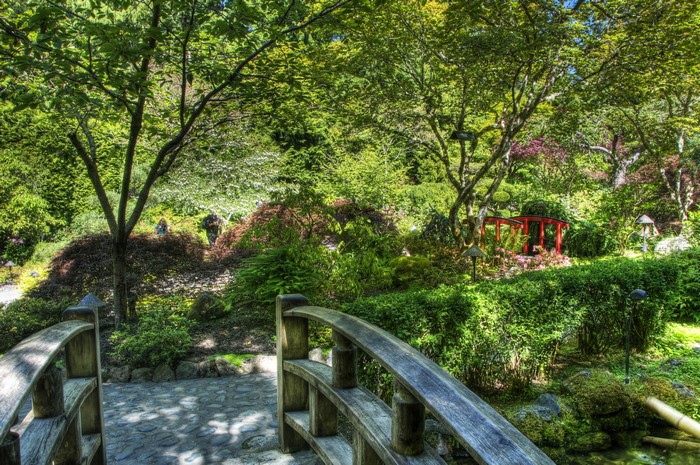 Japanese Garden with Red Bridge and Wooden Bridge