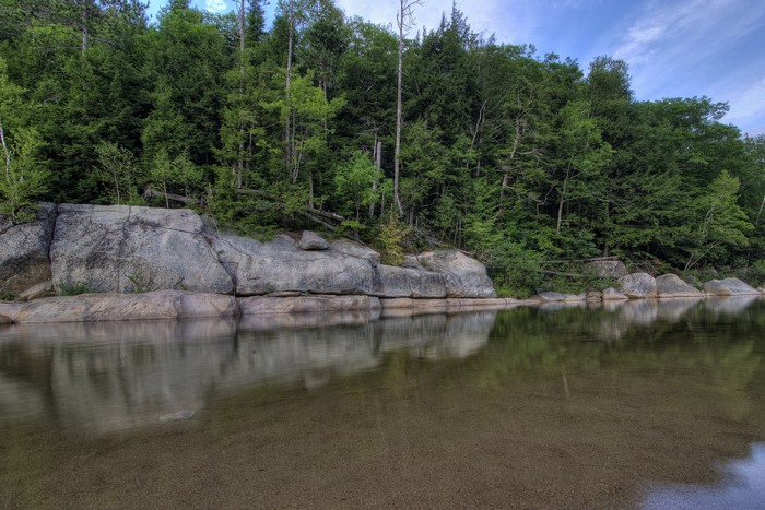 River flowing past rocks and forest in the USA