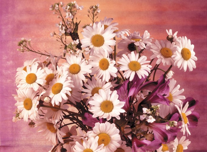 Bouquet of Daisies and Purple Flowers