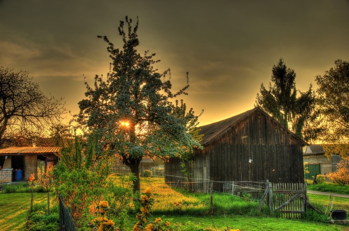 Sunset over a rural farm with wooden barn and trees