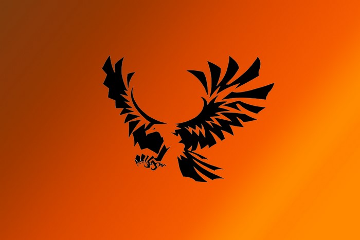 Black eagle tribal graphic on orange background