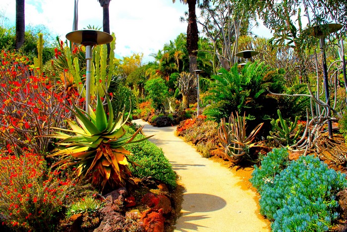 Botanical Gardens in San Marino, California with Cacti